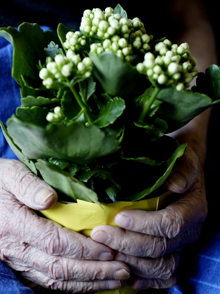 Auginančios rankos